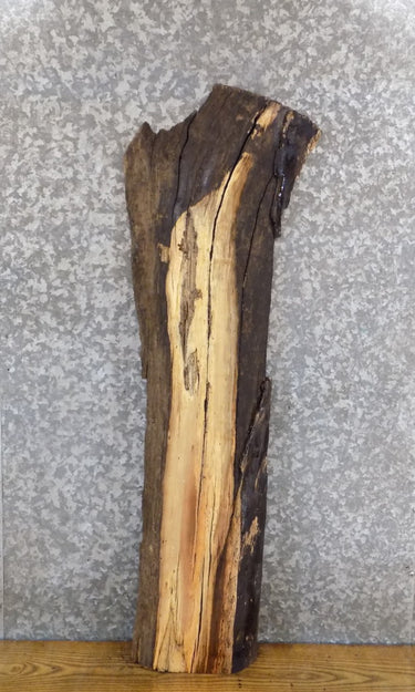 Natural Edge Salvaged Black Walnut Accent/Sofa Table Top Slab 1724